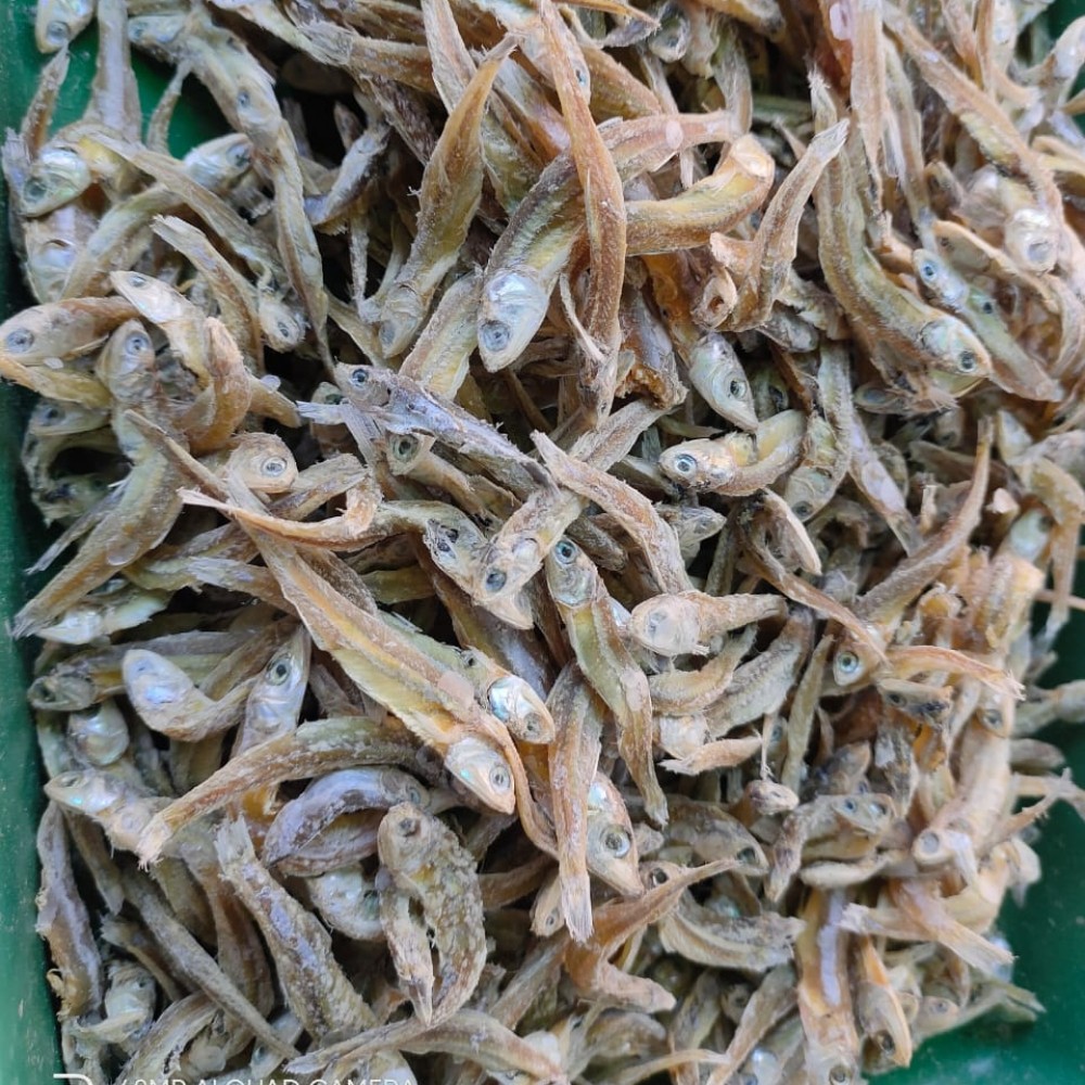 Gereh Teri (Ikan Teri Kering Asin) kode Estu